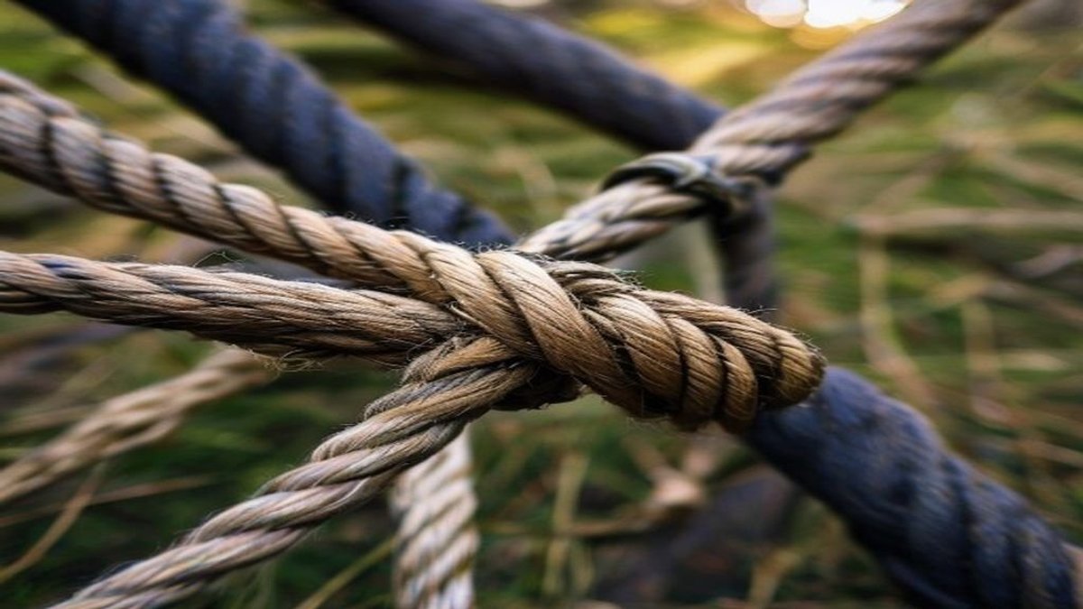 Cordage and Knots: Essential Rope Techniques for Wilderness Living